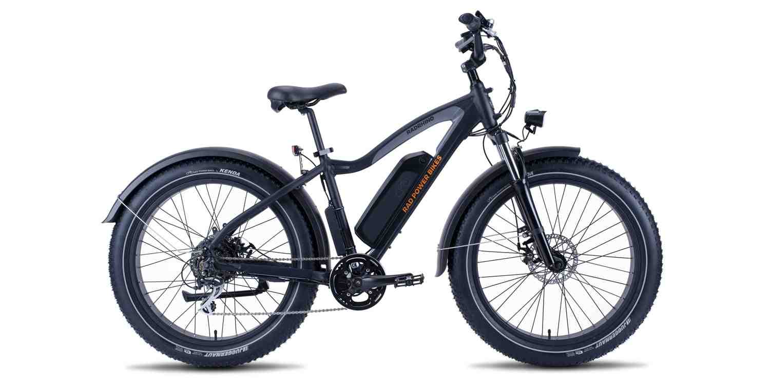 What are the disadvantages of electric bikes?