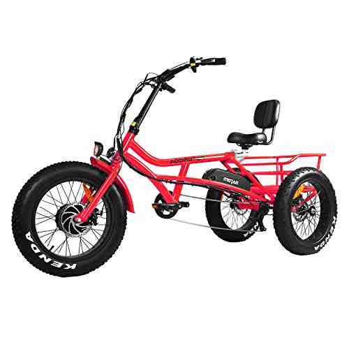 What is the best electric trike?
